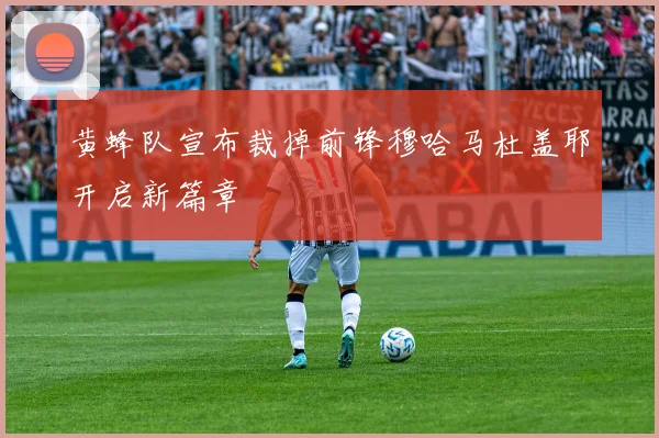 黄蜂队宣布裁掉前锋穆哈马杜盖耶开启新篇章