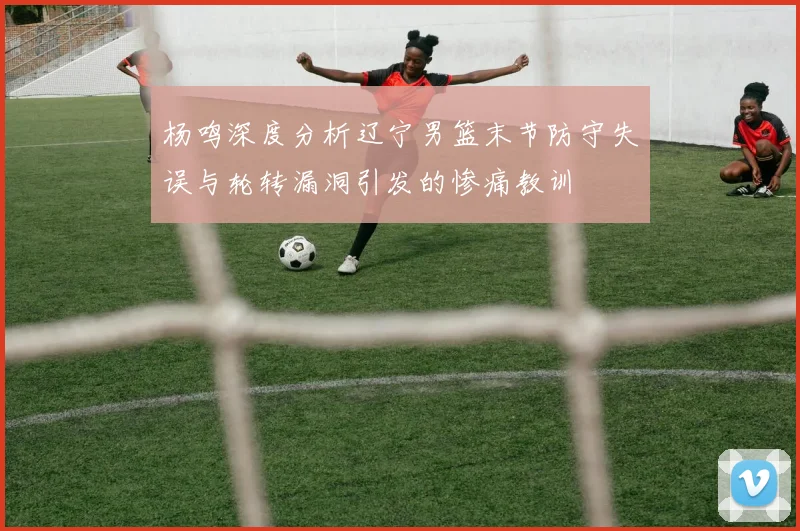 杨鸣深度分析辽宁男篮末节防守失误与轮转漏洞引发的惨痛教训